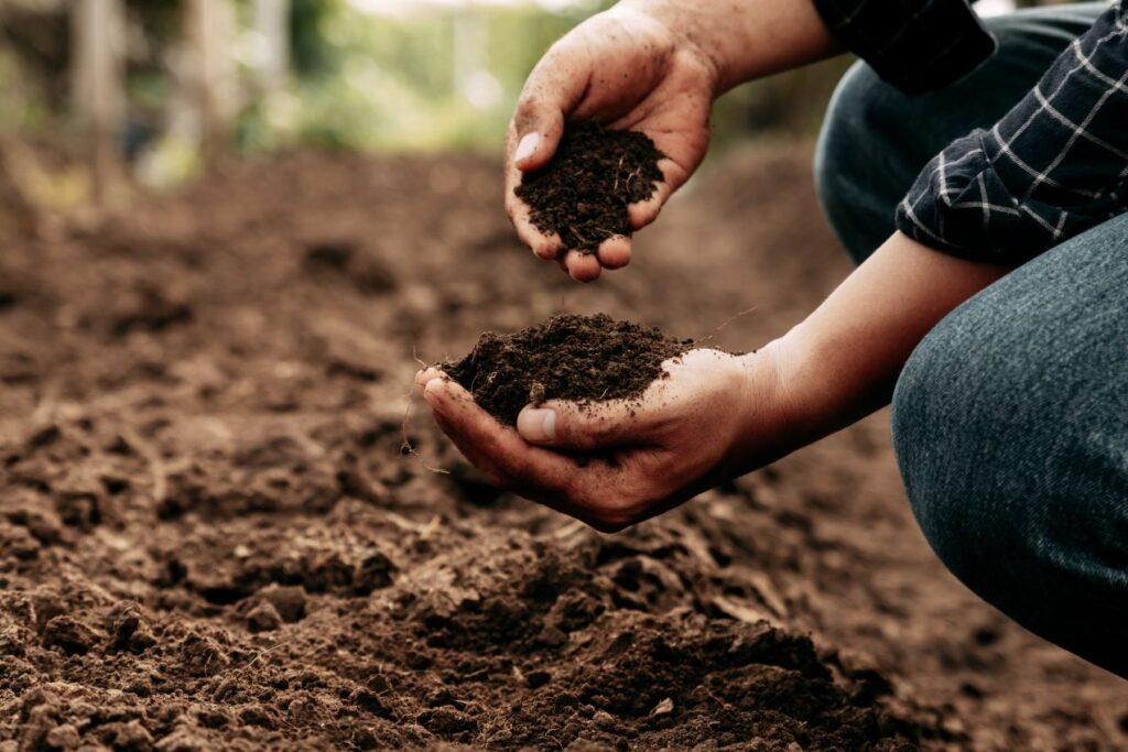Zwei Haende pruefen fruchtbaren Boden fuer die optimale Anwendung eines Schlegelmulchers im landwirtschaftlichen Bereich