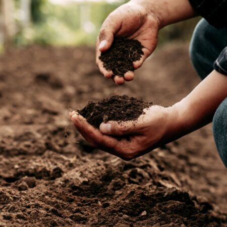 Boden gut, alles gut – Wege zu mehr Struktur und Nährstoffen