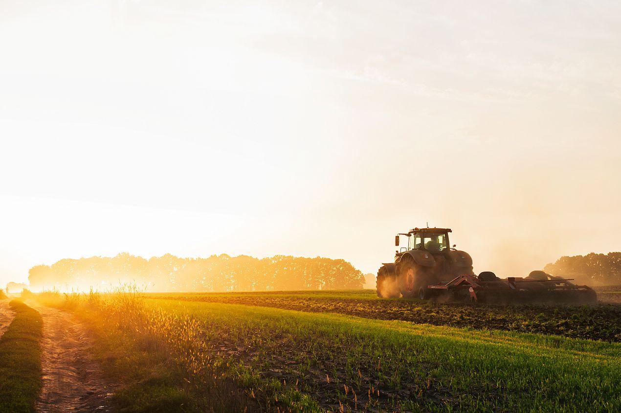 Traktor mit Schlegelmulcher arbeitet bei Sonnenuntergang auf einem Feld zur bodenschonenden Pflege von Gruenflaechen 
